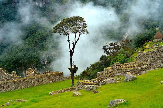 07 Day: Inca Jungle Adventure with Mountain Bike, Rafting, Zipline & Trek - The long jungle trek toward Santa Teresa