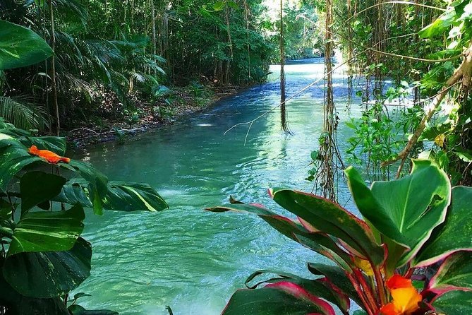 #1 Martha brea bamboo rafting - A Traditional Bamboo Raft on a Three-Mile Route