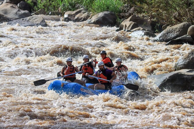 10km Rafting with 8Adventures from Chiang Mai Include Pickup & Lunch - How much value do you get for $116.03?