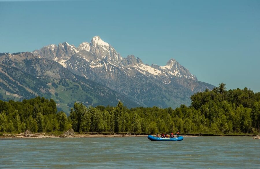 13-Mile Snake River Scenic Rafting Experience from Jackson - Wildlife watching at a slower speed