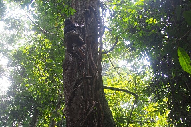 2-Day Jungle Trekking & Rafting in North Sumatra - How difficult is the trek?
