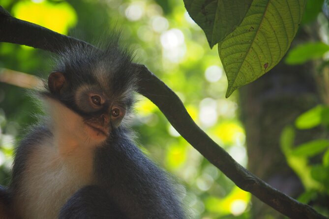 2-Day Jungle Trekking & Rafting in North Sumatra - Who should book this experience?