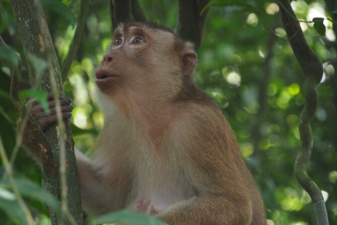 2-Day Jungle Trekking & Rafting in North Sumatra - My verdict on the jungle trek and rafting trip