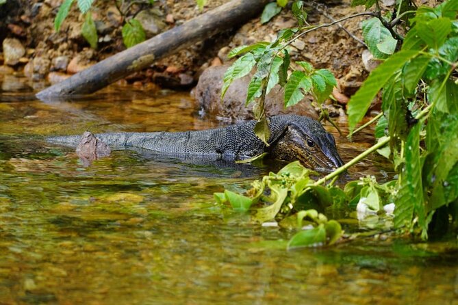 3 Days Orangutan Sumatra Jungle Trekking with Rafting - How much value do you get for $204.21?