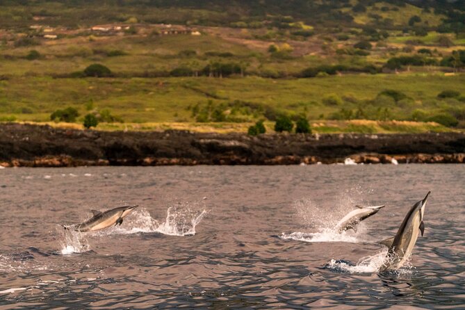 4 Hour Super-Raft Snorkeling Experience in Kailua-Kona - The Super-Raft Ride Along the Kona Coast