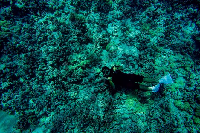 4 Hour Super-Raft Snorkeling Experience in Kailua-Kona - Kealakekua Bay and the Main Snorkeling Stops