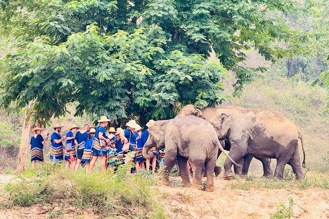4 in 1 Elephants Long Neck Rafting and Sticky Waterfall Tour - Choosing between white water and bamboo rafting