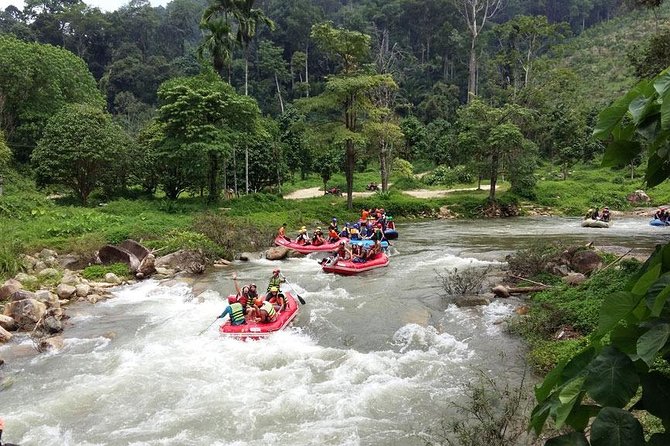 5 km White Water Rafting + ATV 1 Hour Tour From Phuket - The jungle walk to Tone Pariwat waterfall