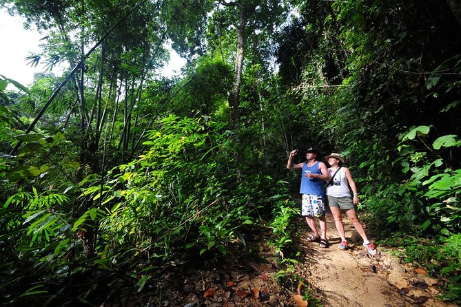 5km Rafting, ATV & Flying Fox Adventure Trip - Thai buffet lunch and a welcome pause