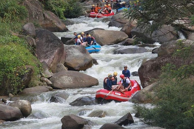 5km White Water Rafting and Jungle Tour From Phuket - What this Phuket rafting day is really like