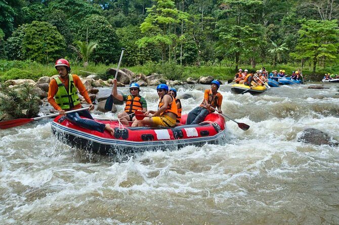 7km White Water Rafting Adventure Tour From Krabi - The Waterfall Stop and Jungle Time