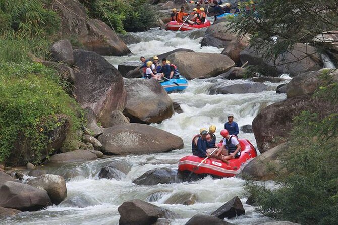 7km White Water Rafting Adventure Tour From Krabi - Who Will Enjoy This Day Most