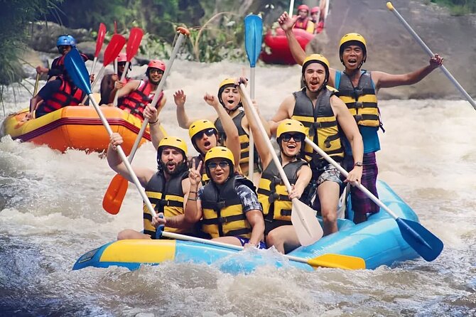 All inclusive : Ayung River White Water Rafting Lunch and Private Transport - Waterfalls, swimming, and the river valley