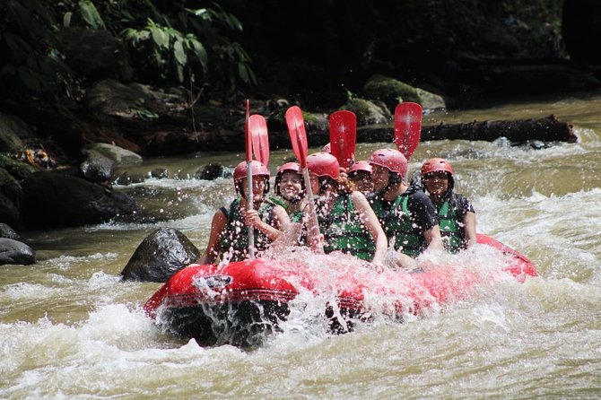 All Inclusive Bali Quad Bike and White Water Rafting - Rafting 12 kilometers on the Ayung River