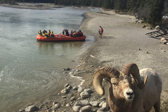 Athabasca River Easy Scenic Raft Trip - Is the trip safe for children and older adults?