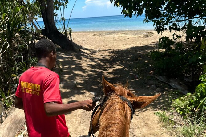 ATV, Bamboo Rafting, Horseback Ride From Montego Bay- Private - Bamboo rafting slows the day down