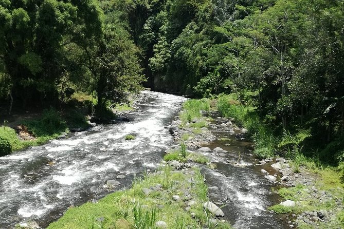 Ayung Rafting Ubud (Include Lunch & Return Transportation) - Waterfalls, jungle views, and quieter stretches