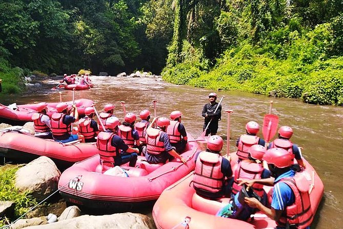 Ayung River Half-Day White Water Rafting Bali in Ubud - Shower, lunch, and the ride back
