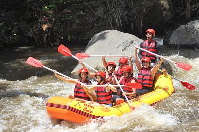 Ayung River Half-Day White Water Rafting Bali in Ubud - What the $28 price really covers