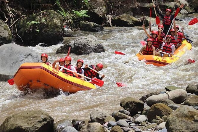 Ayung River Half-Day White Water Rafting Bali in Ubud - Who should book this rafting trip?