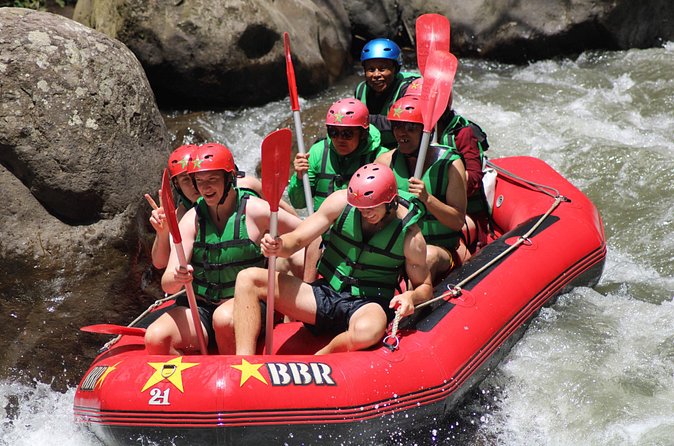Ayung River Rafting - Guides, safety, and the private group setup