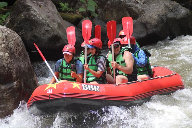 Ayung River Rafting - Who will enjoy this five-hour outing?