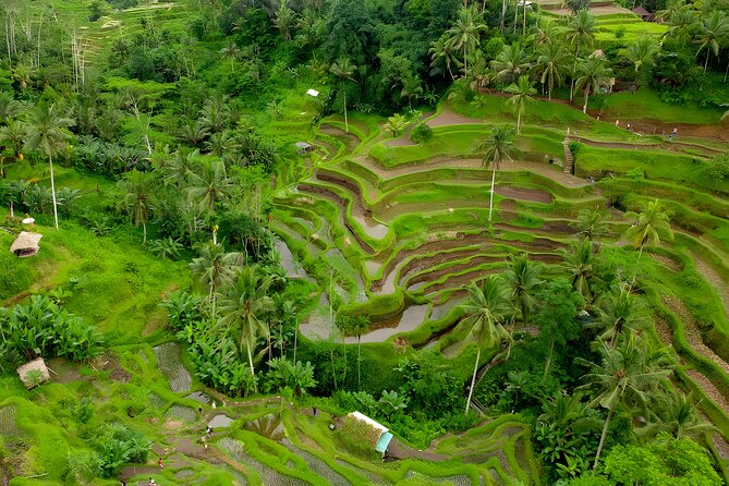 Ayung River Rafting and Kintamani Volcano Trip - Kintamani offers the mountain view
