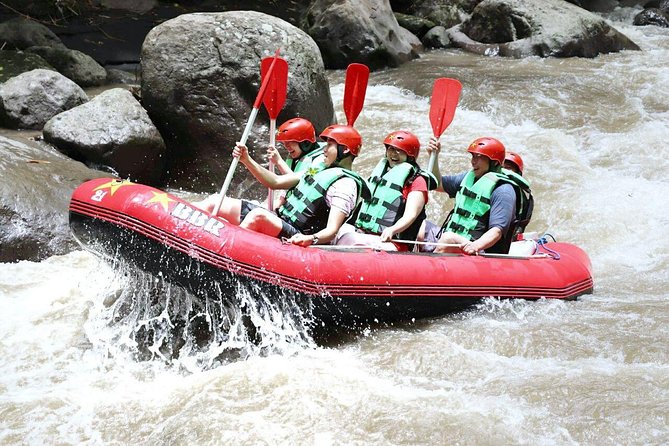 Ayung River Rafting - Preparing for the Ayung River