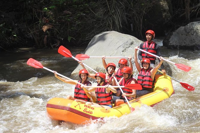 Ayung River - White Water Rafting Bali - Key Points Before You Book