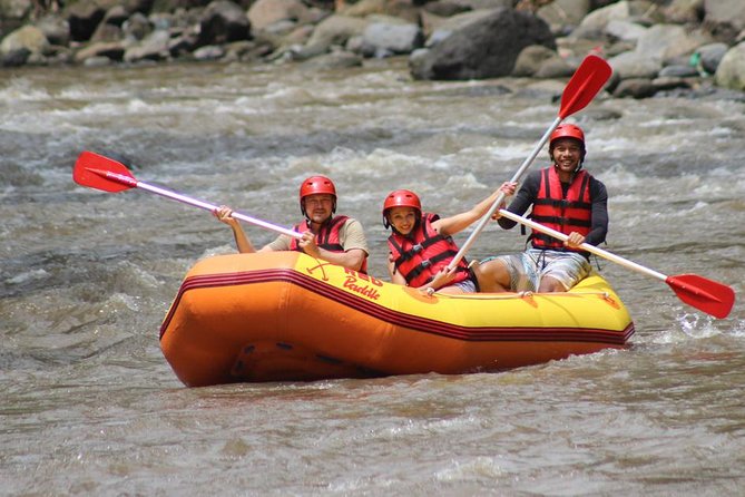 Ayung River - White Water Rafting Bali - What the Ayung River Trip Is Really Like