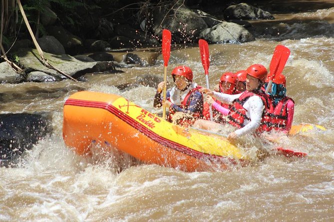 Ayung River - White Water Rafting Bali - A Guide in Every Raft
