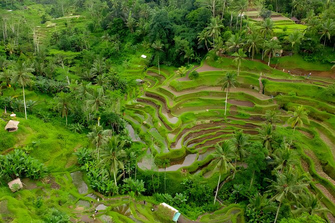 Ayung White Water Rafting and Ubud Art Village Tour - Starting from Seminyak in a private vehicle