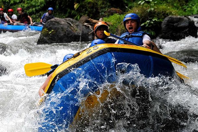 Bali 10 Kilometers Extreme Ayung River Rafting with Lunch - Buffet Lunch, Ginger Tea, and a Better Finish