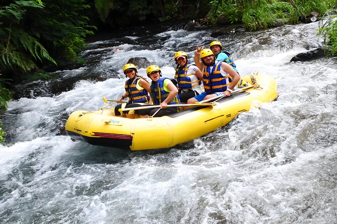 Bali Activity: Telaga Waja White Water River Rafting - The 18-Kilometer River Run