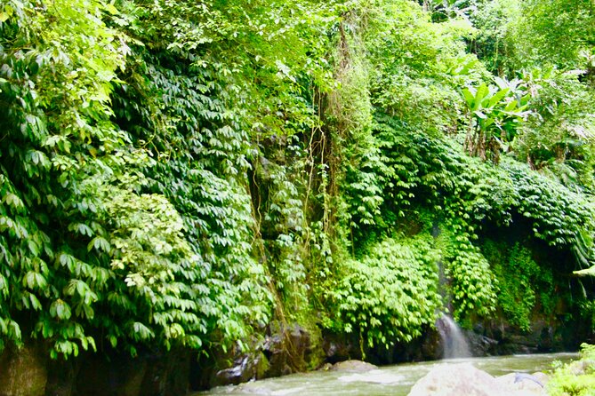 Bali ATV Quad Bike & Ayung River Rafting Combo with Lunch - Lunch, showers, and the return to the lobby
