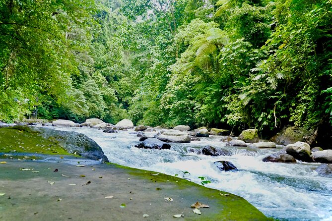 Bali ATV Quad Bike & Ayung River Rafting Combo with Lunch - Who should book this active Bali day?