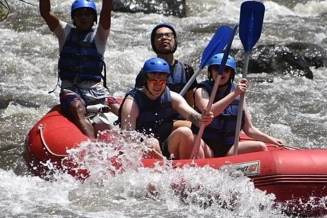 Bali Ayung River Rafting and Bali Swing Packages - The private driver can shape the day