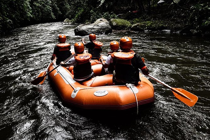 Bali Ayung River White Water Rafting with Transport - Getting to Infinity Bali Adventure in Kedewatan