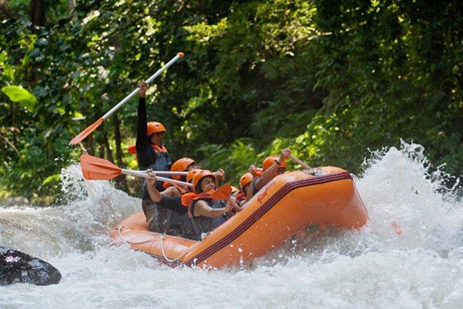 Bali Ayung River White Water Rafting with Transport - Who should book this Ayung River outing?