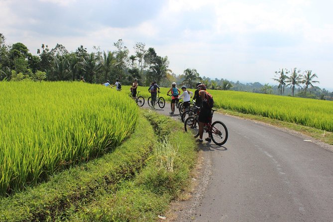 Bali Downhill Cycling and White Water Rafting - What the $100 price really covers