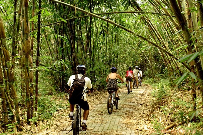 Bali Downhill Cycling and White Water Rafting - A small group makes the day easier