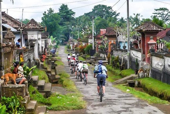 Bali Downhill Cycling and White Water Rafting - A midday meal in Ubud