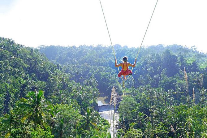Bali Jungle Swing and White Water Rafting All Inclusive - Key points to know