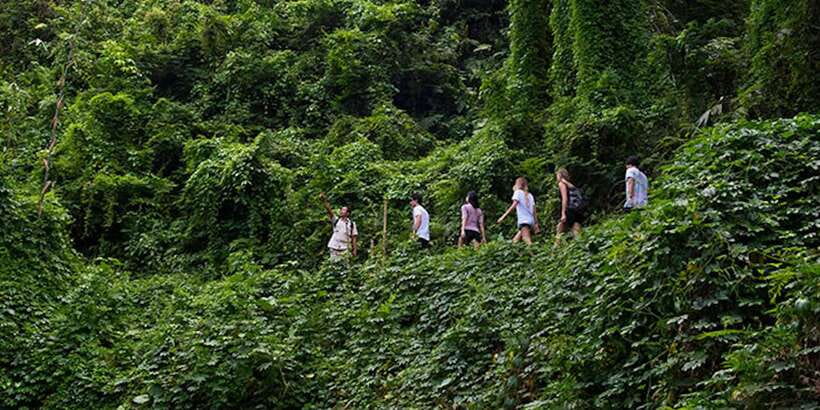 Bali: Jungle Trek and River Rafting with Lunch - The 400 Steps Down to the Ayung River