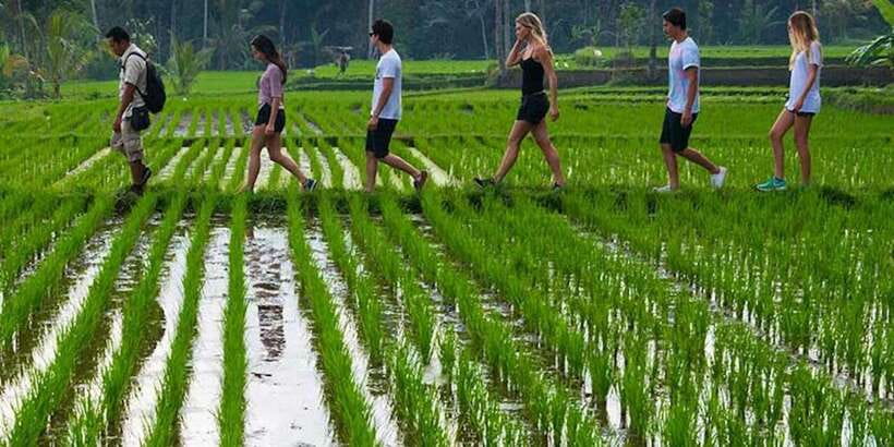 Bali: Jungle Trek and River Rafting with Lunch - Who Should Choose This Bali Activity?