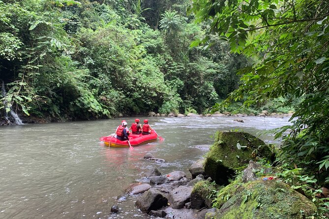 Bali Jungle White Water Rafting Adventure - The long climb after the raft
