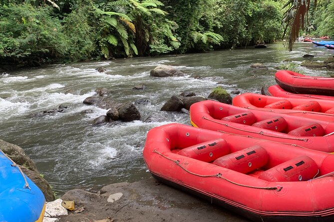 Bali Jungle White Water Rafting Adventure - How much value do you get for $51.29?