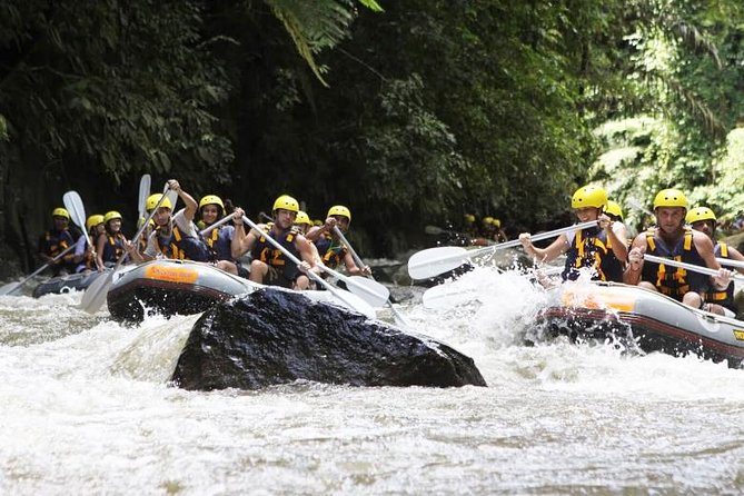 Bali Mason Adventure White Water Rafting - On the water, from gentle stretches to rapids