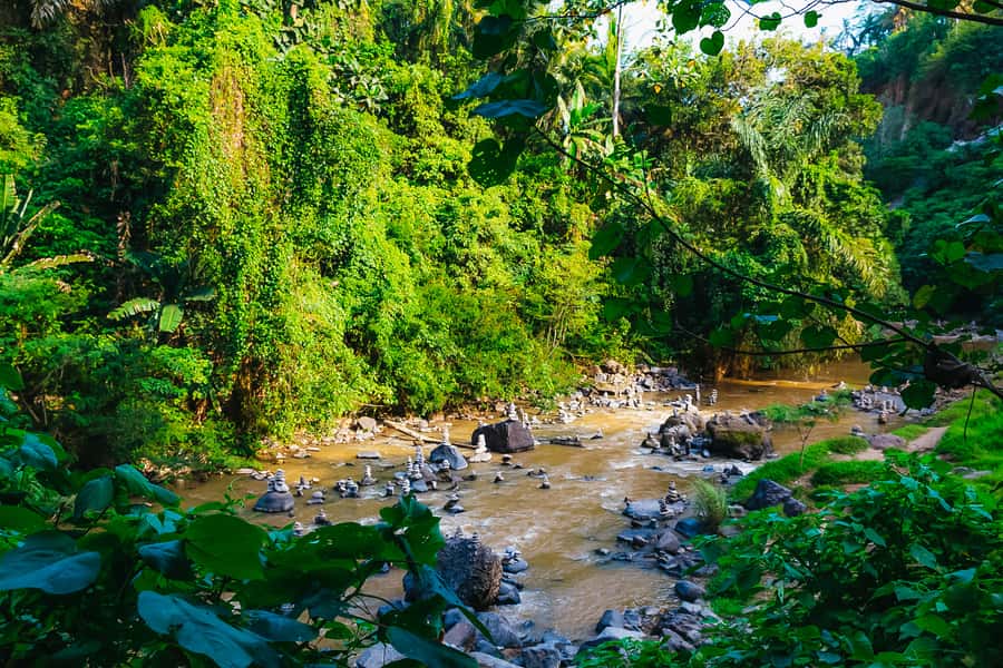 Bali: Mount Batur Sunrise Trek and White Water Rafting - The drive to the Ayung River and the coffee stop