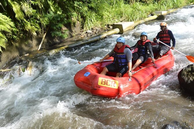 Bali Rafting - Why the Ayung River is a good first rafting trip